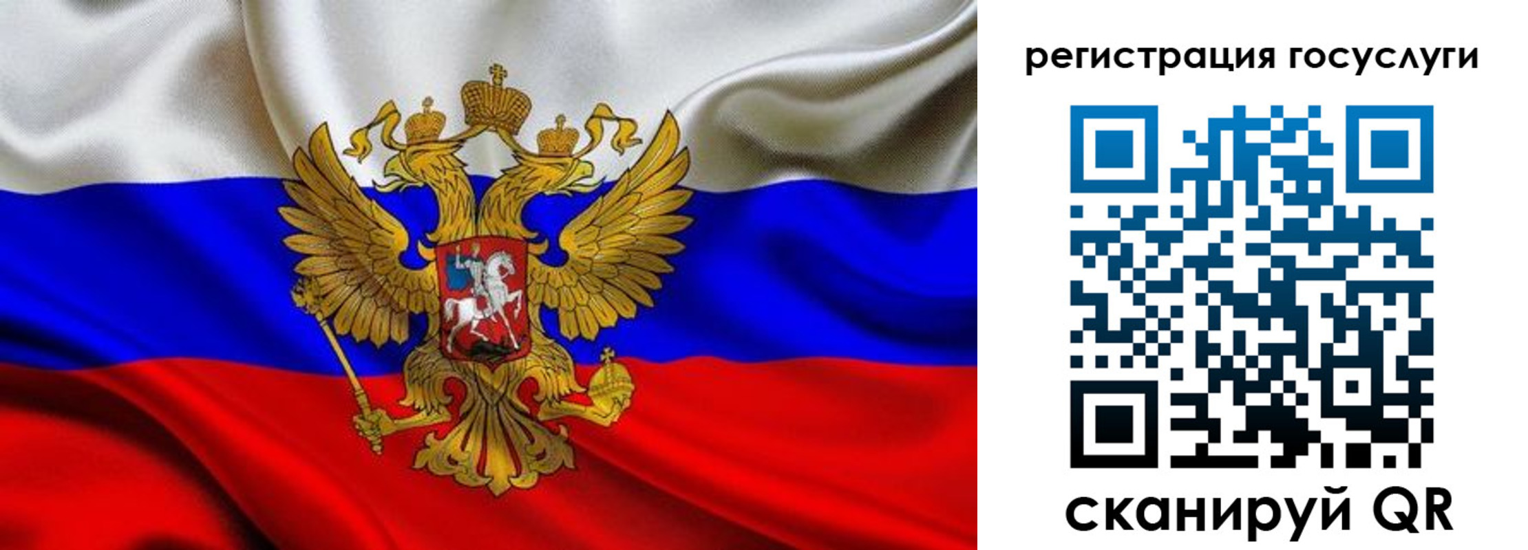 прописка гарантия в Ершове